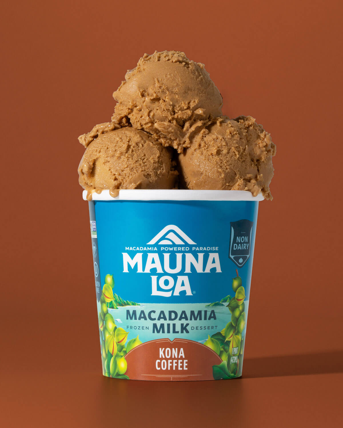 20-Moxie-Sozo-Portfolio-MaunaLoa