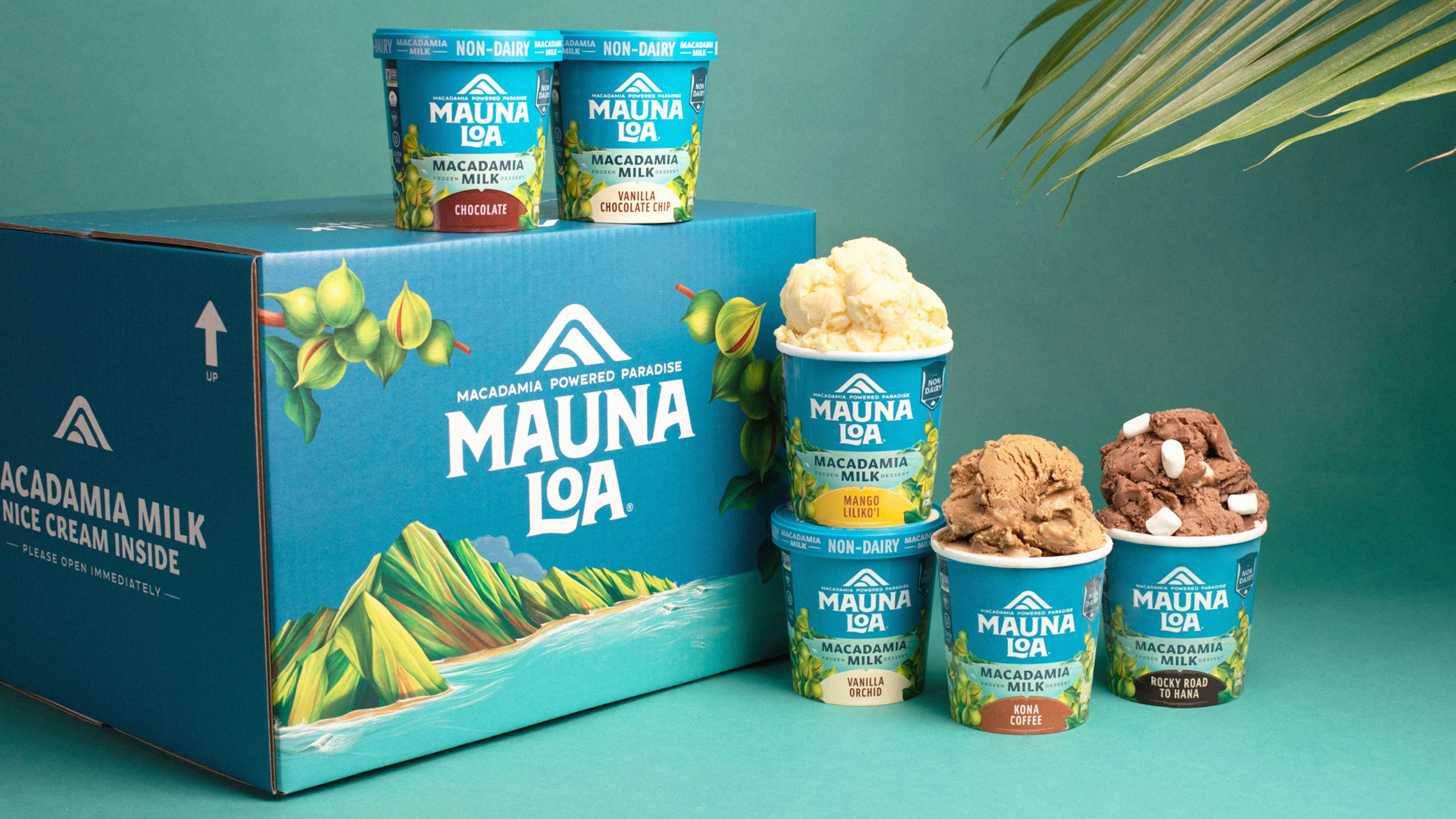 MAUNA LOA 6種類セット MAUNALOA(マウナロア) マカダミアナッツ塩味6缶セット (ハワイ お土産