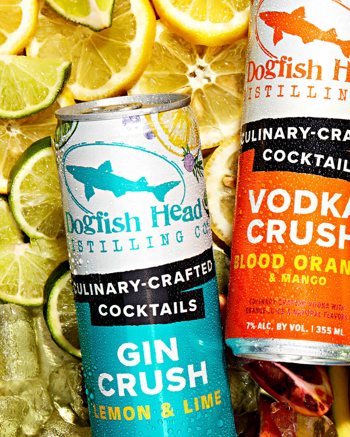 Moxie-Sozo-Dogfish-Head-Canned-Cocktails-Template-07_4x5