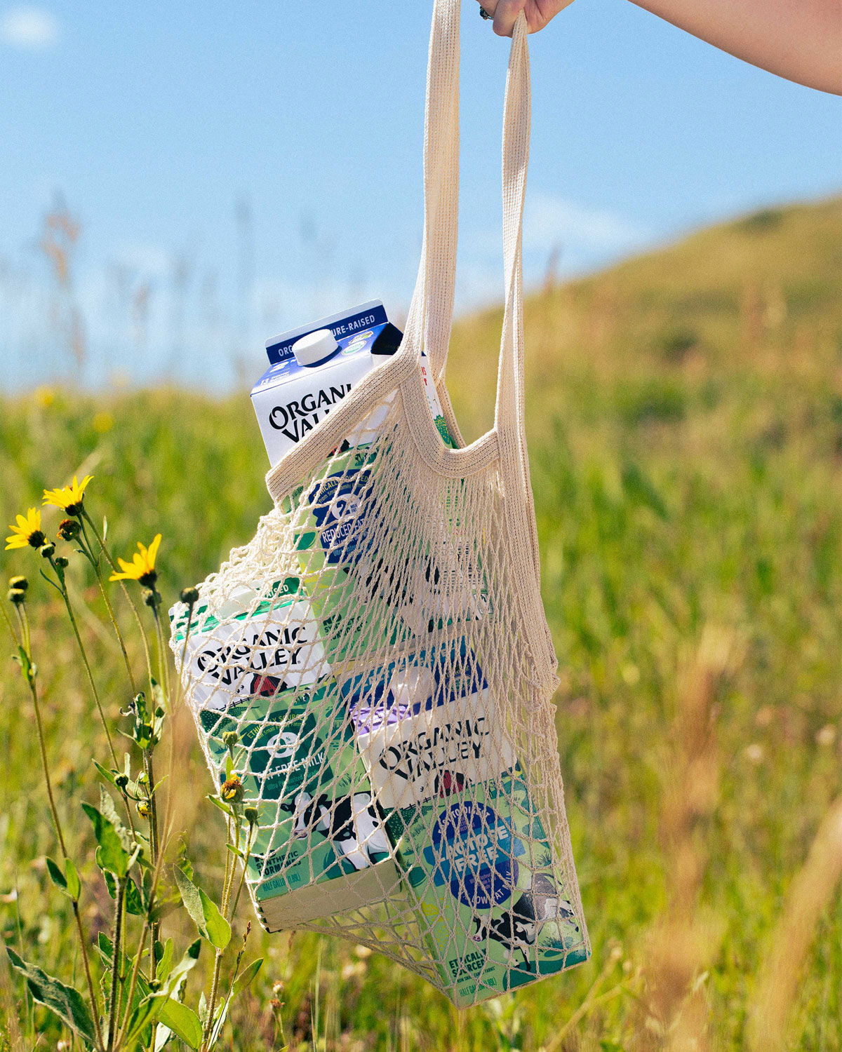 Organic Valley milk hanging from a netted bag